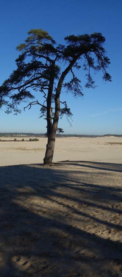 B&B Achterom Loon op Zand Εξωτερικό φωτογραφία